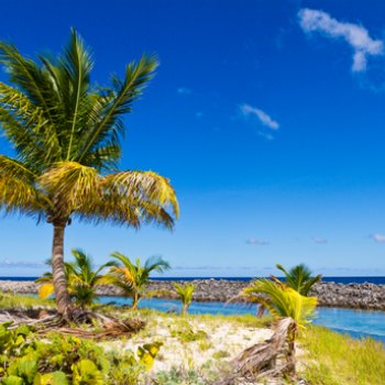 Sandy Island Grenada