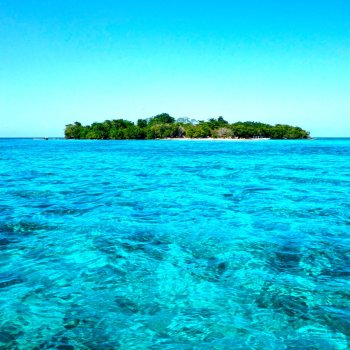 Booby Cay Island Jamaica