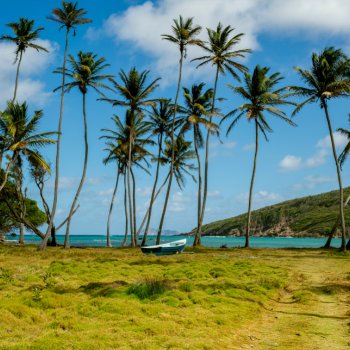 Bequia St Vincent & The Grenadines