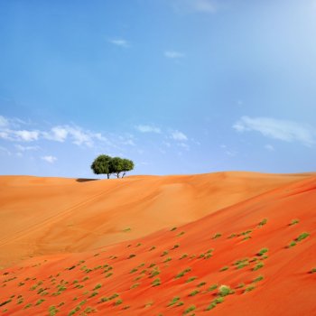 Wahiba Desert Oman